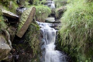 bronte falls 2 sm.jpg